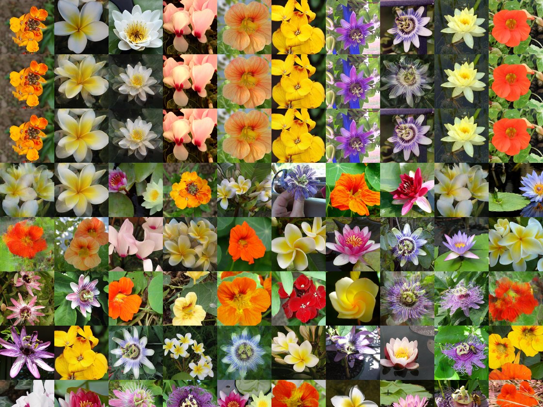 FiLM-conditioned IMLE samples on Oxford 102 Flowers